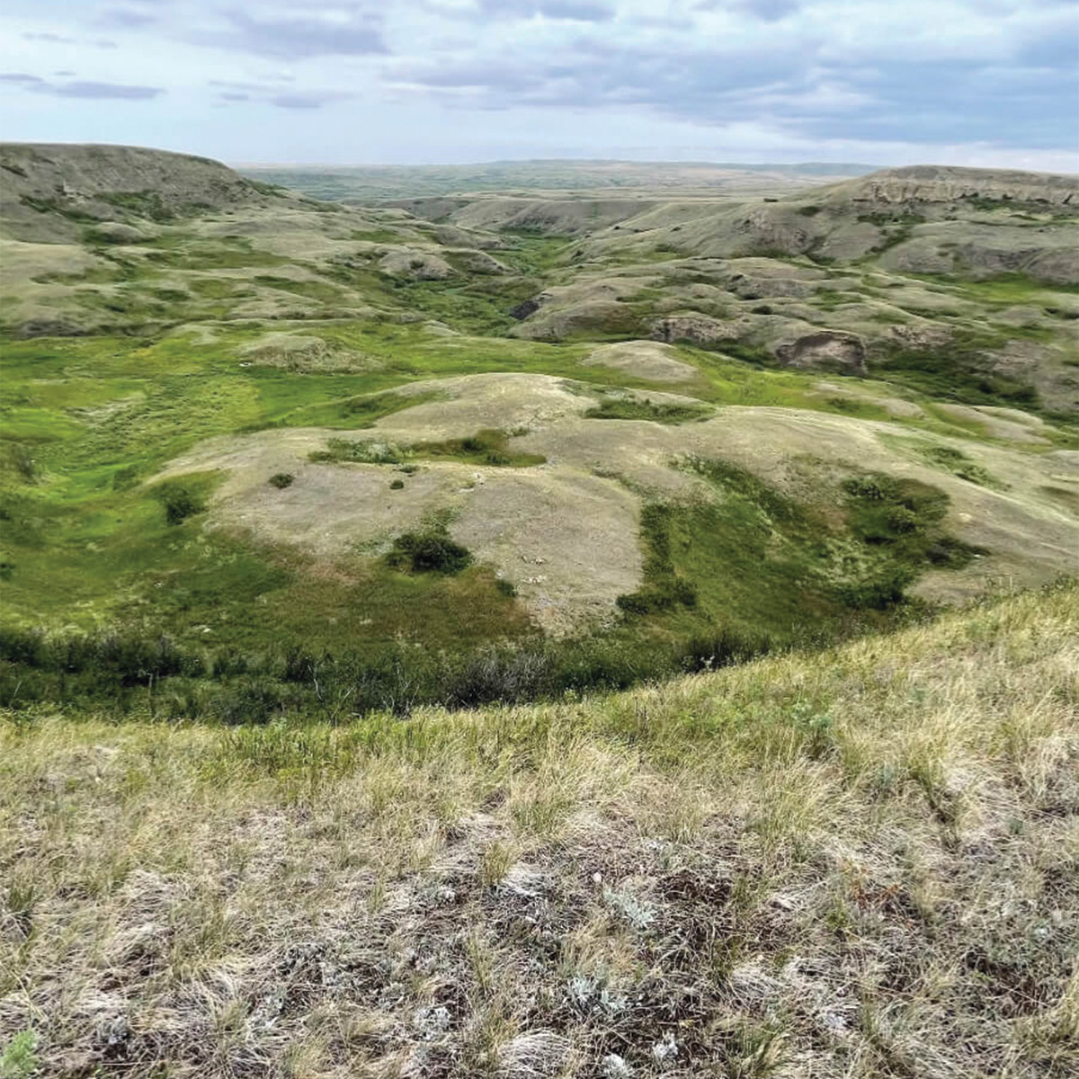 McIntyre Project.jpg